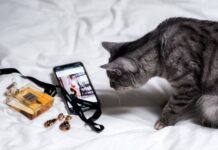 Engagement rate: Míra zapojení je metrika úspěšnosti na sociálních sítích míra zapojení na Instagramu