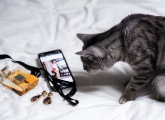 Engagement rate: Míra zapojení je metrika úspěšnosti na sociálních sítích míra zapojení na Instagramu