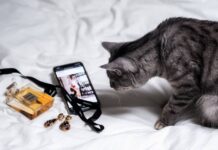 Jak prodávat na Instagramu. Zaujmout kočku nestačí! Poradíme, co funguje! jak prodávat na instagramu