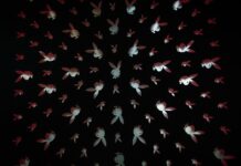 Playboy Creators na sociální síti Centerfold. Konkurence OnlyFans