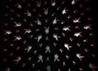 Playboy Creators na sociální síti Centerfold. Konkurence OnlyFans